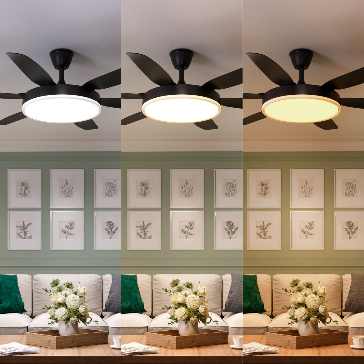 Black 56inch Ceiling Fan Light with Remote