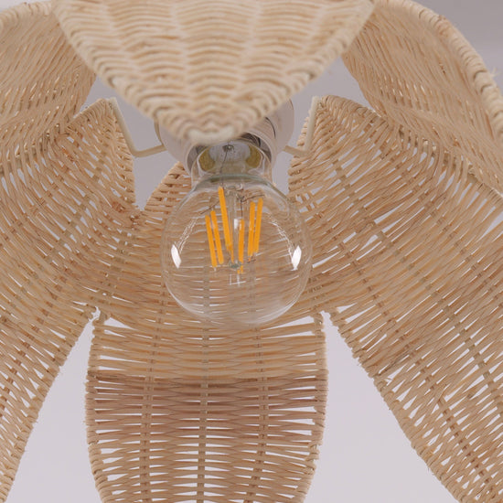 Lightsin AmberNest Natural Rattan Light for Calm Cozy Corners Lightsin UK 