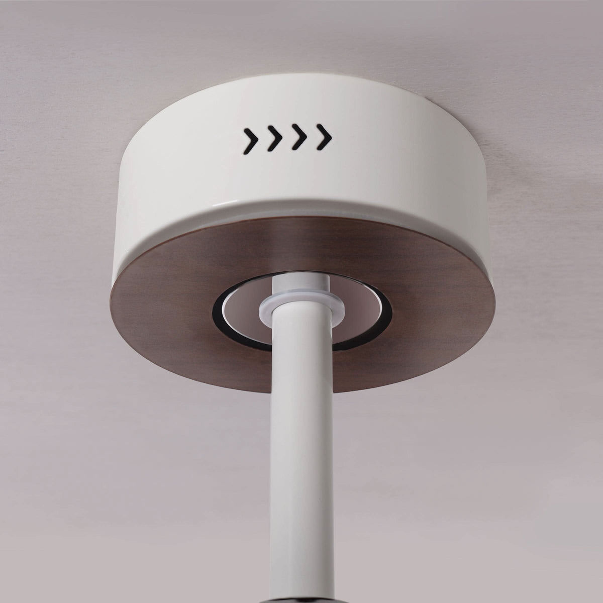 48 inch ceiling fan with dimmable LED light highlighting the blade and light ring