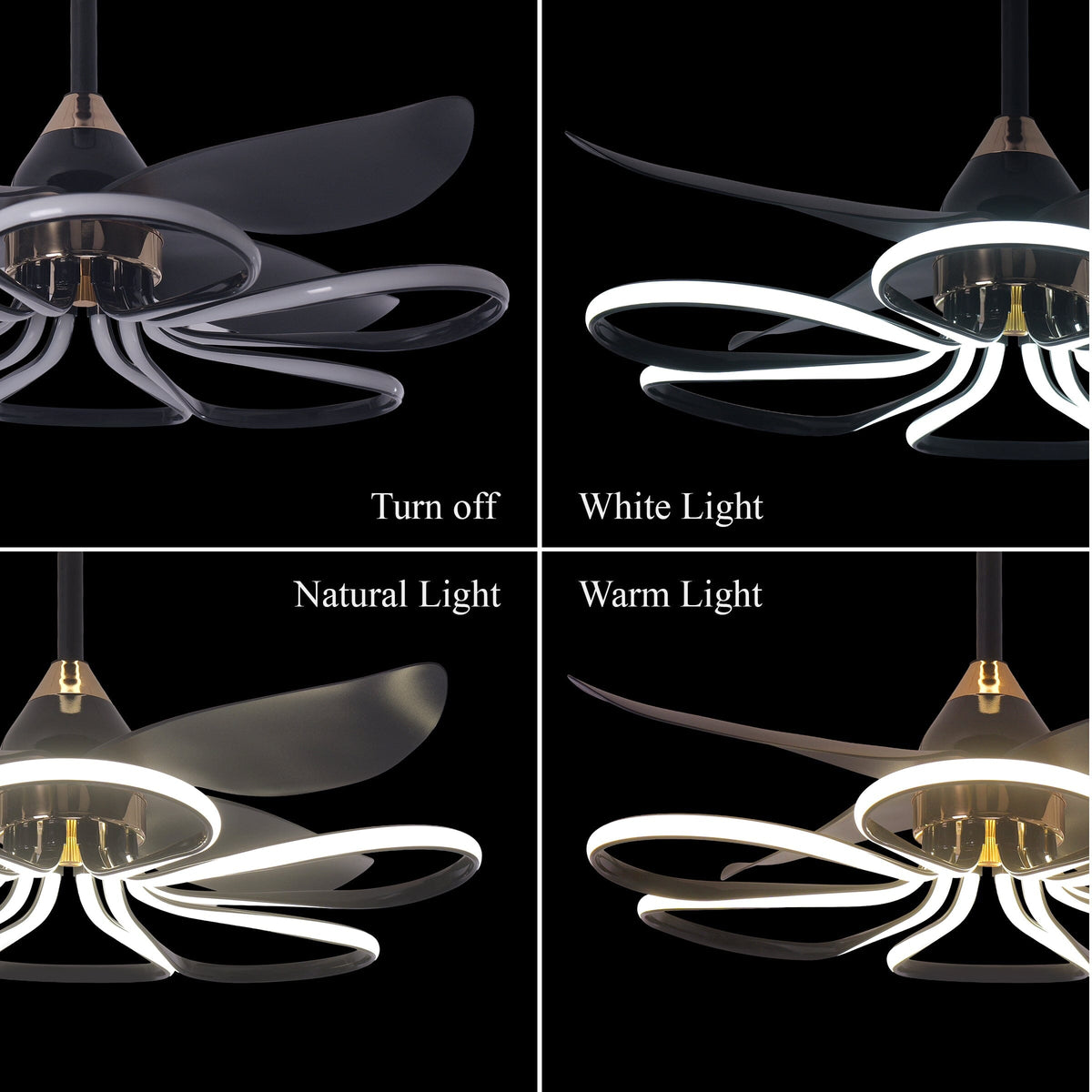 Lightsin 36-inch Black Modern Petal LED Ceiling Fan with Light - 6-Speed with Remote Control Lightsin UK