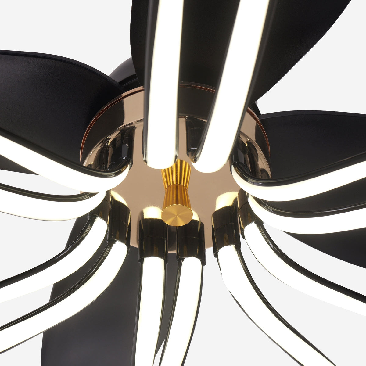 Lightsin 36-inch Black Modern Petal LED Ceiling Fan with Light - 6-Speed with Remote Control Lightsin UK