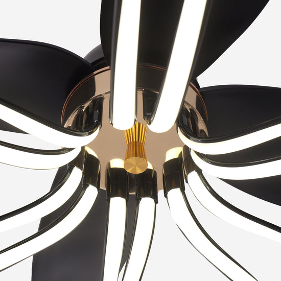 Lightsin 36-inch Black Modern Petal LED Ceiling Fan with Light - 6-Speed with Remote Control Lightsin UK