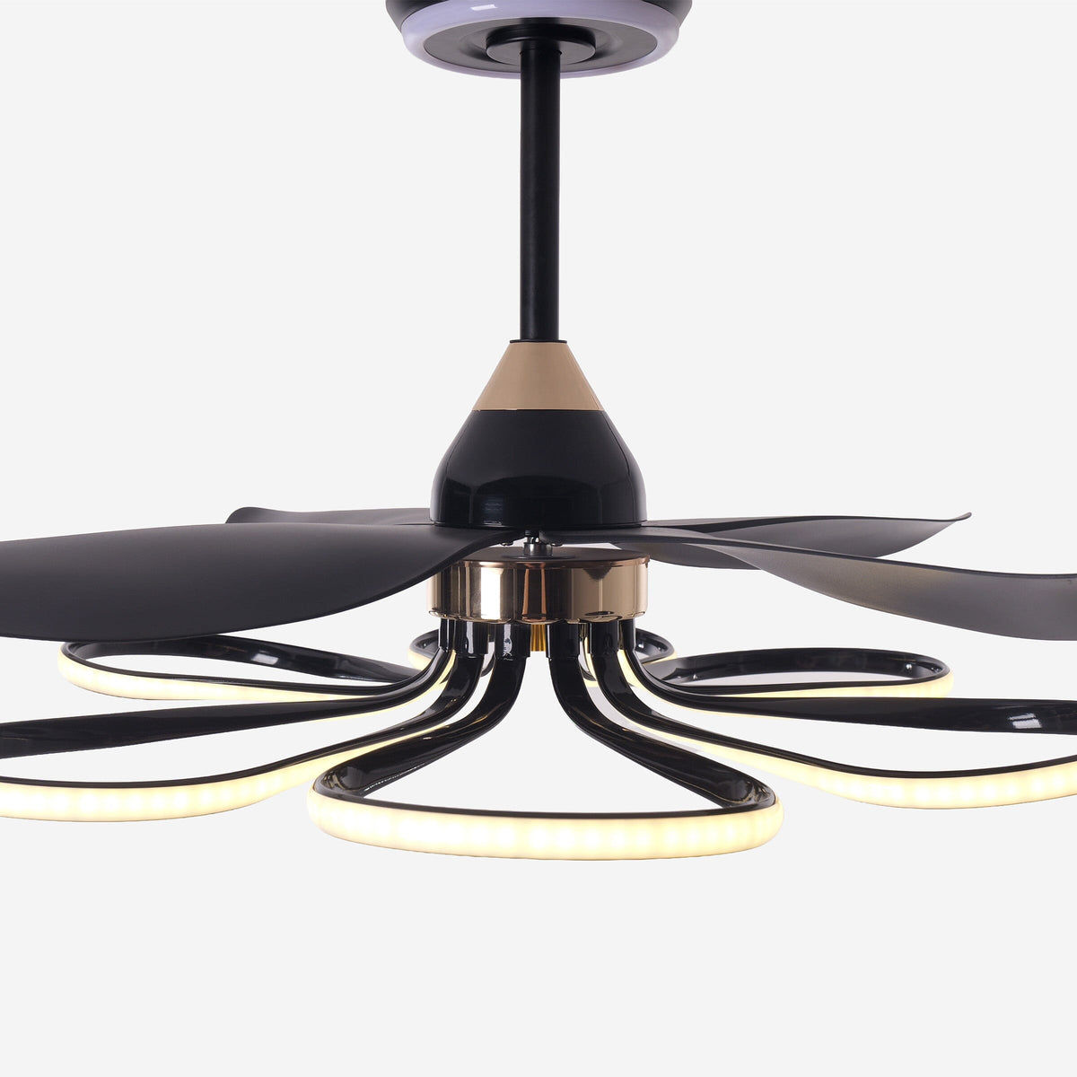 Lightsin 36-inch Black Modern Petal LED Ceiling Fan with Light - 6-Speed with Remote Control Lightsin UK