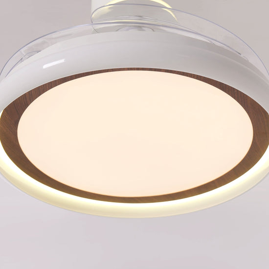 48 inch reversible ceiling fan with LED light with a compact motor and blade detail